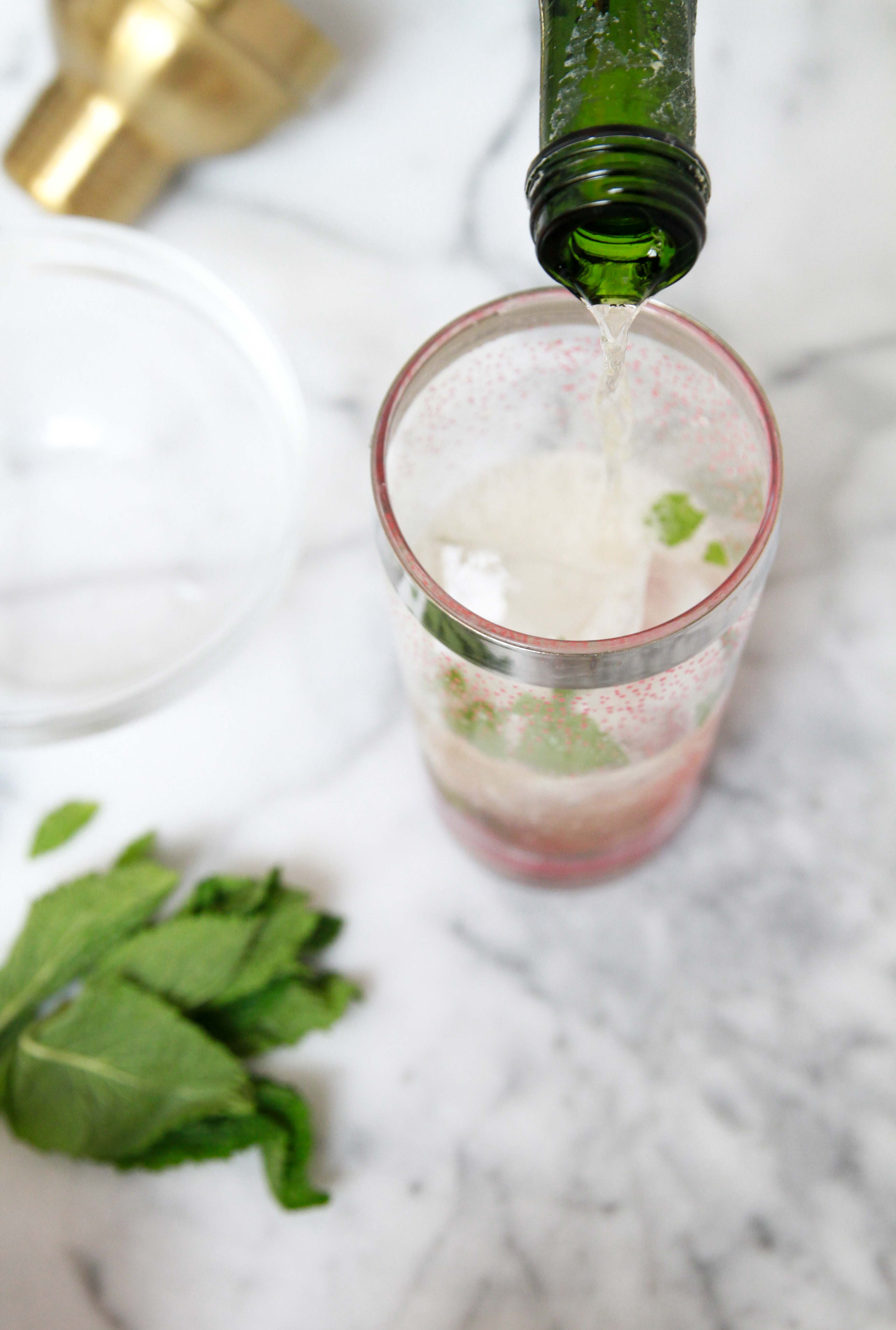 Sparkling Watermelon Mint Cocktail