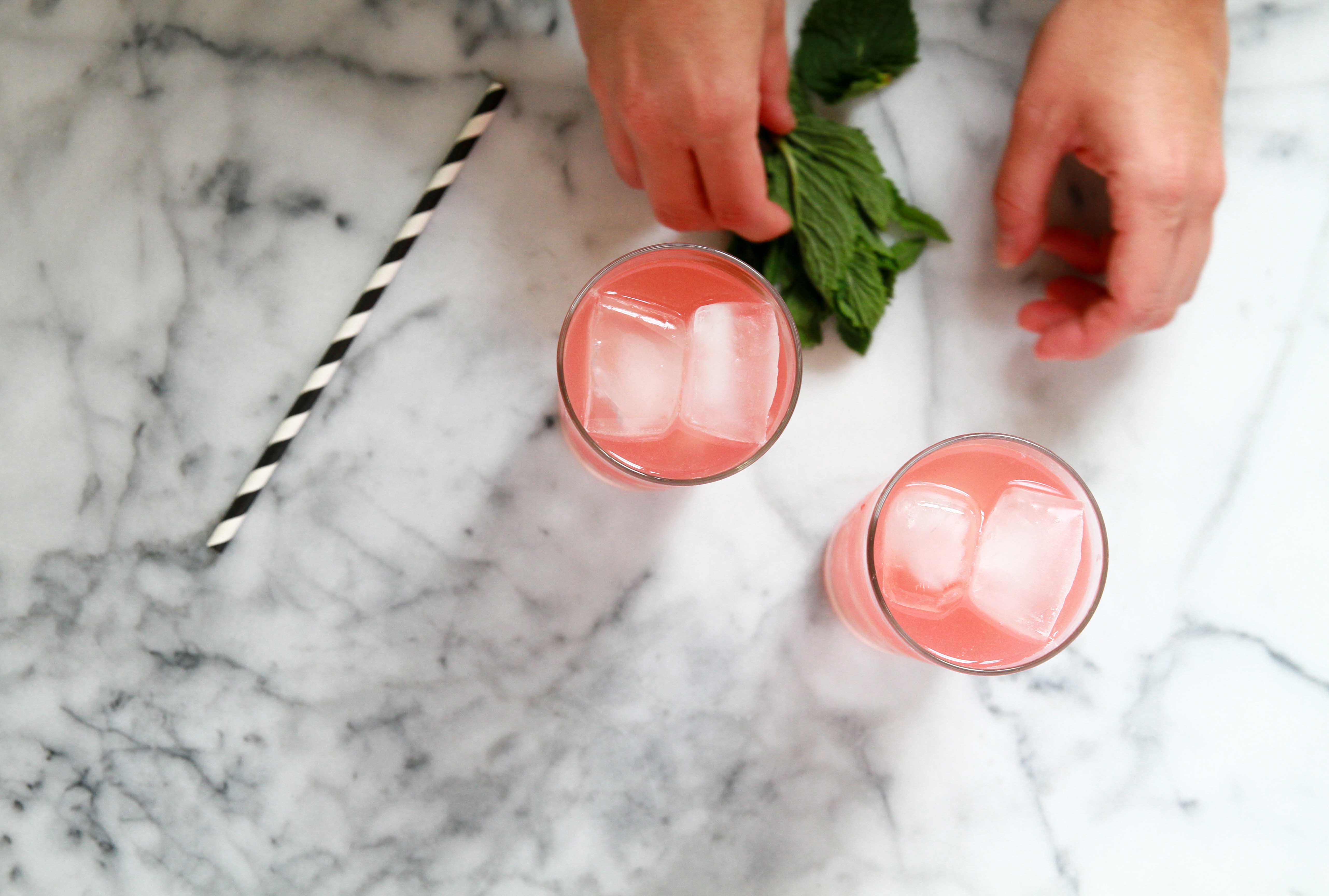 Sparkling Watermelon Mint Cocktail